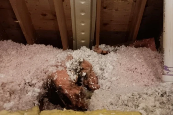 Professional insulation contractors